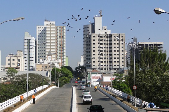 Polícia impede tragédia em Divinópolis e alerta para a importância de procurar apoio em momentos de crise