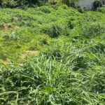 Projeto da Lagoa do Sidil segue parado e Gleidson reage “Eu não vou desistir da lagoa”